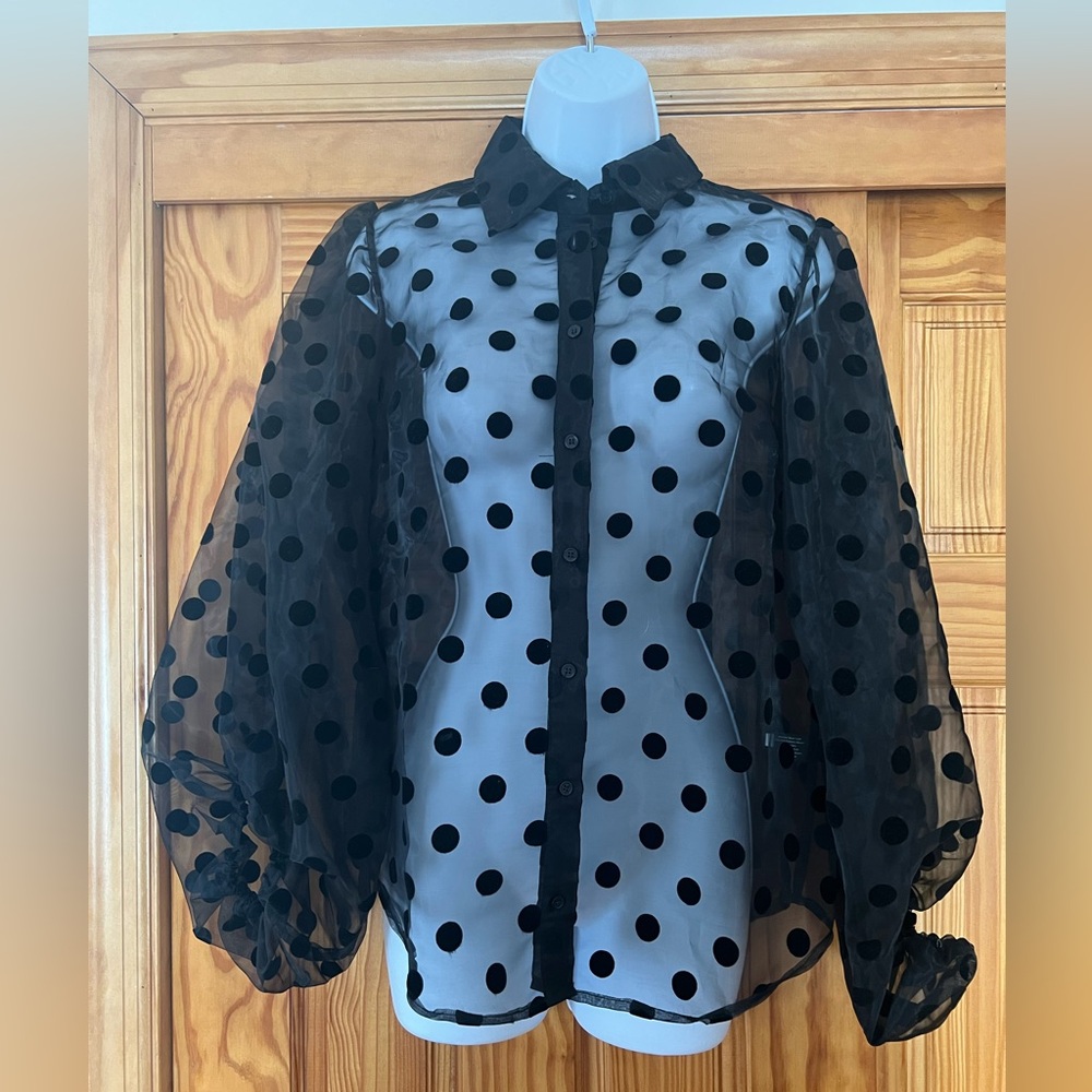 Festive Blouse